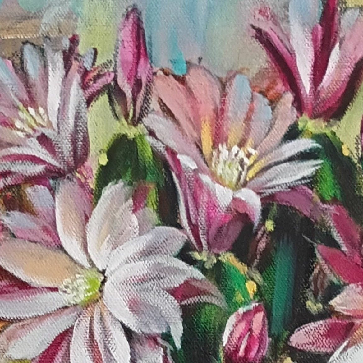 Close-up of colorful flowers with a focus on pink and white blossoms.