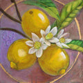 Painting of three lemons with white flowers on a purple background